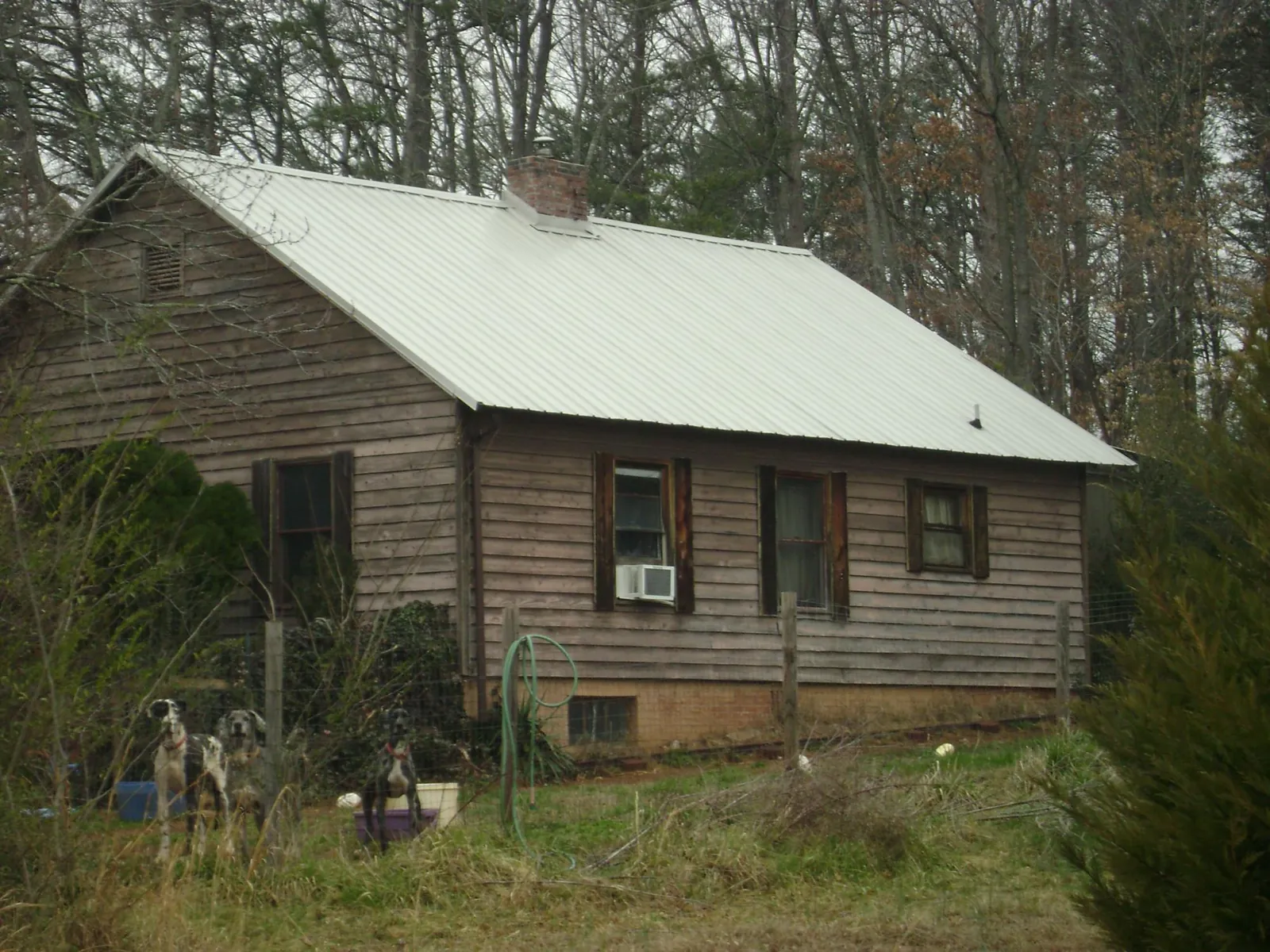 White metal roof on an old wood sided farmhouse, from a Asphalt Shingle Roof Repair job in Krum